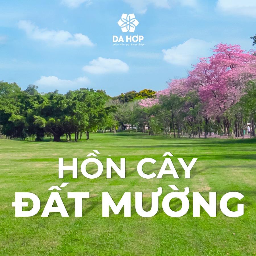 Mường Central Hòa Bình 7 Tiện ích Mường Central Hòa Bình