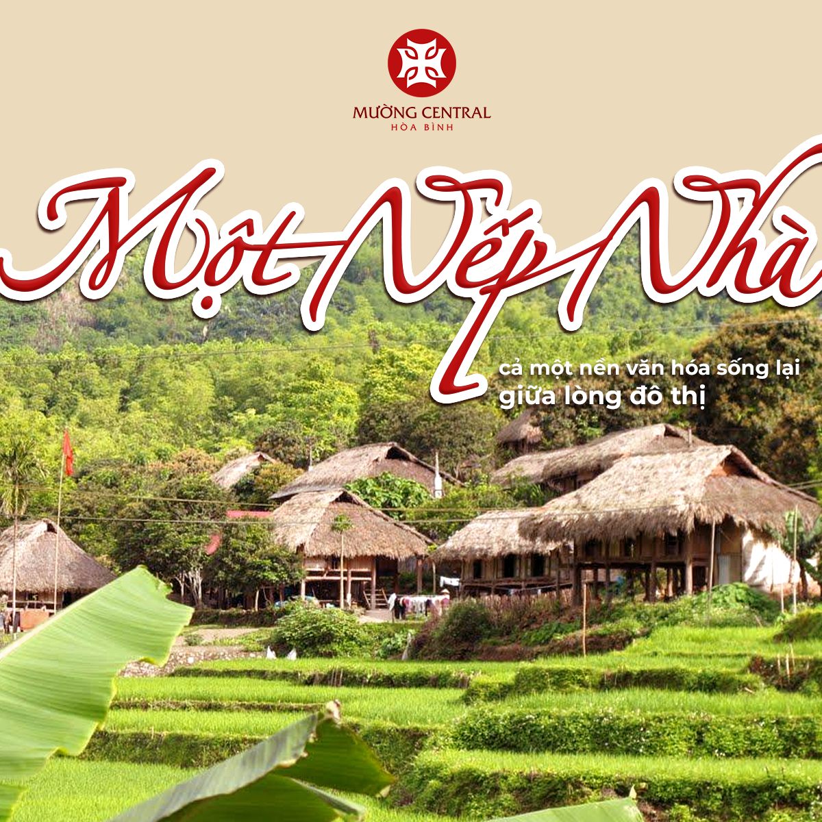 Mường Central Hòa Bình 1 Mường Central Hòa Bình